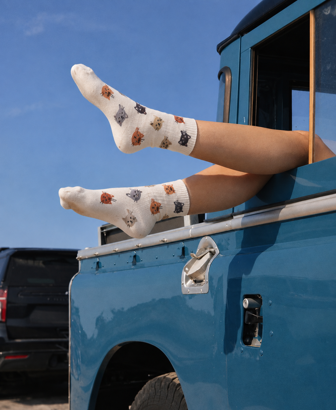 Catty Socks - قطن