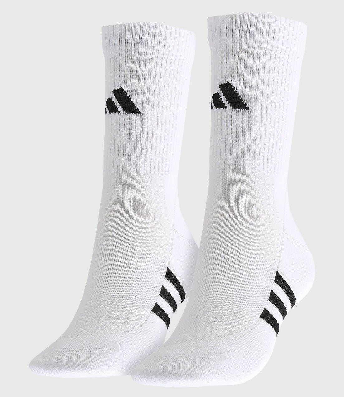 Sport Set Bundle-1st Edition